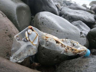 證明“海洋塑料”，需要遵循哪些標(biāo)準(zhǔn)？